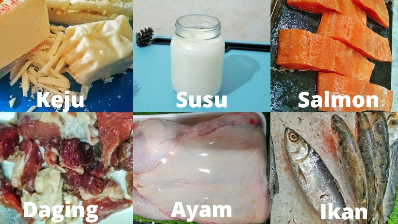 Sumber Protein